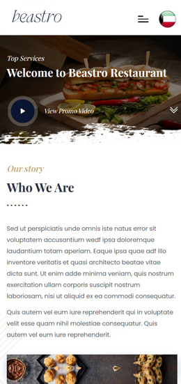 Mobile view of Anaheim website.