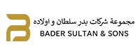 BDS logo – web design company project