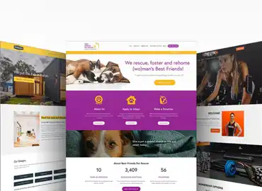 Professional Website Development and Marketing in Kuwait