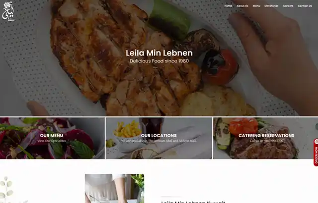Desktop view of LEILA website.
