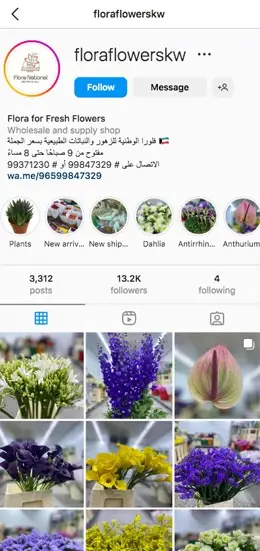 Mobile view of flora website.